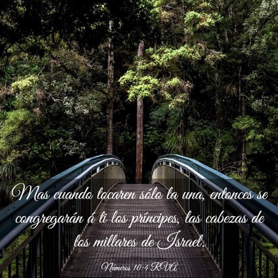 Picture 03 - Números 10:4 RVA - Mas cuando tocaren sólo la una, entonces se - Bible Verse Picture
