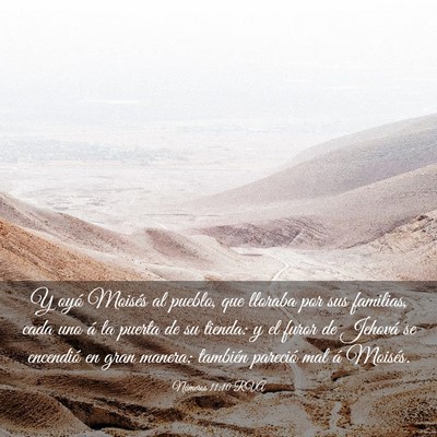 Picture 03 - Números 11:10 RVA - Y oyó Moisés al pueblo, que lloraba por sus - Bible Verse Picture