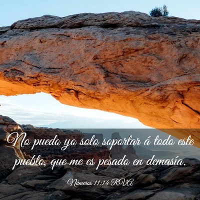 Picture 03 - Números 11:14 RVA - No puedo yo solo soportar á todo este pueblo, - Bible Verse Picture