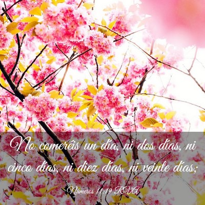 Picture 03 - Números 11:19 RVA - No comeréis un día, ni dos días, ni cinco - Bible Verse Picture