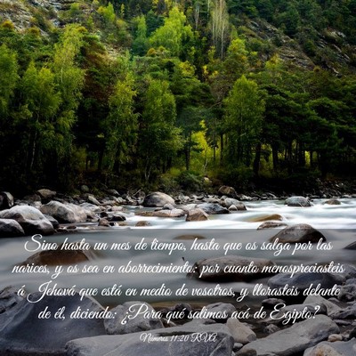 Picture 03 - Números 11:20 RVA - Sino hasta un mes de tiempo, hasta que os salga - Bible Verse Picture
