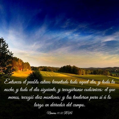 Picture 03 - Números 11:32 RVA - Entonces el pueblo estuvo levantado todo aquel - Bible Verse Picture