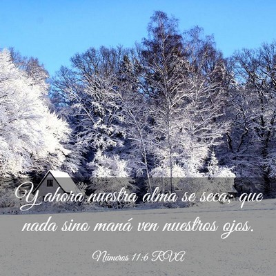 Picture 03 - Números 11:6 RVA - Y ahora nuestra alma se seca; que nada sino maná - Bible Verse Picture