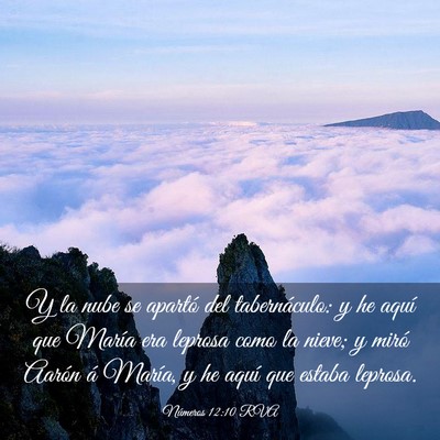 Picture 03 - Números 12:10 RVA - Y la nube se apartó del tabernáculo: y he aquí - Bible Verse Picture