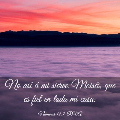 Picture 03 - Números 12:7 RVA - No así á mi siervo Moisés, que es fiel en toda - Bible Verse Picture