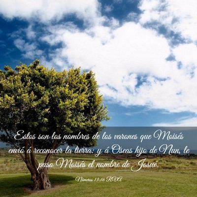 Picture 03 - Números 13:16 RVA - Estos son los nombres de los varones que Moisés - Bible Verse Picture