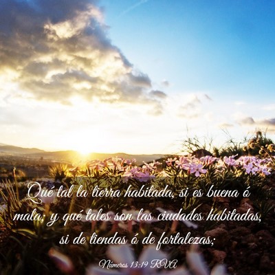 Picture 03 - Números 13:19 RVA - Qué tal la tierra habitada, si es buena ó mala; - Bible Verse Picture
