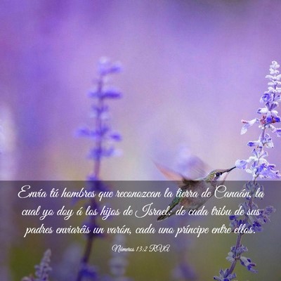 Picture 03 - Números 13:2 RVA - Envía tú hombres que reconozcan la tierra de - Bible Verse Picture