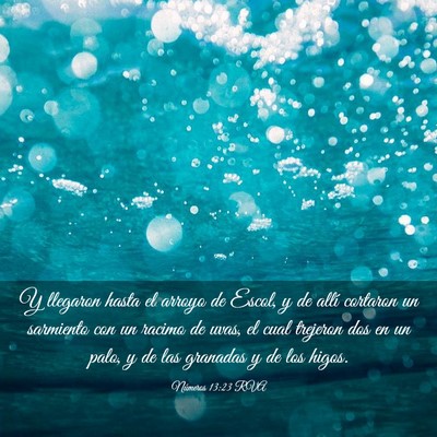 Picture 03 - Números 13:23 RVA - Y llegaron hasta el arroyo de Escol, y de allí - Bible Verse Picture