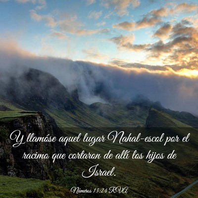 Picture 03 - Números 13:24 RVA - Y llamóse aquel lugar Nahal-escol por el racimo - Bible Verse Picture