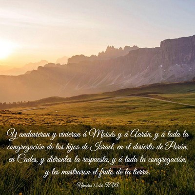 Picture 03 - Números 13:26 RVA - Y anduvieron y vinieron á Moisés y á Aarón, y - Bible Verse Picture