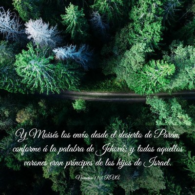 Picture 03 - Números 13:3 RVA - Y Moisés los envío desde el desierto de Parán, - Bible Verse Picture