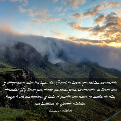 Picture 03 - Números 13:32 RVA - y vituperaron entre los hijos de Israel la tierra - Bible Verse Picture