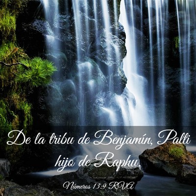 Picture 03 - Números 13:9 RVA - De la tribu de Benjamín, Palti hijo de - Bible Verse Picture
