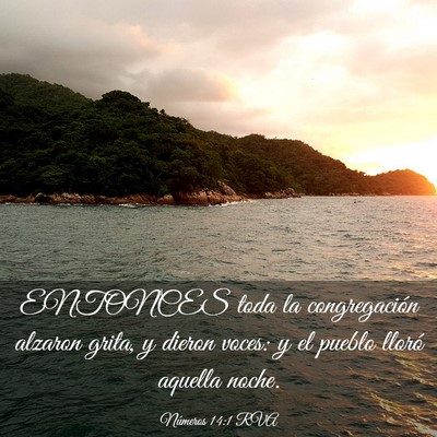 Picture 03 - Números 14:1 RVA - ENTONCES toda la congregación alzaron grita, y - Bible Verse Picture