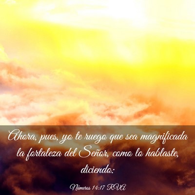 Picture 03 - Números 14:17 RVA - Ahora, pues, yo te ruego que sea magnificada la - Bible Verse Picture