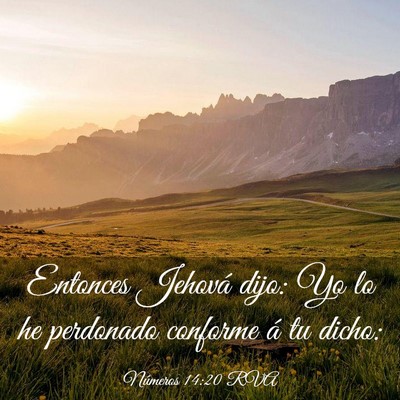 Picture 03 - Números 14:20 RVA - Entonces Jehová dijo: Yo lo he perdonado - Bible Verse Picture