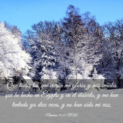 Picture 03 - Números 14:22 RVA - Que todos los que vieron mi gloria y mis señales - Bible Verse Picture