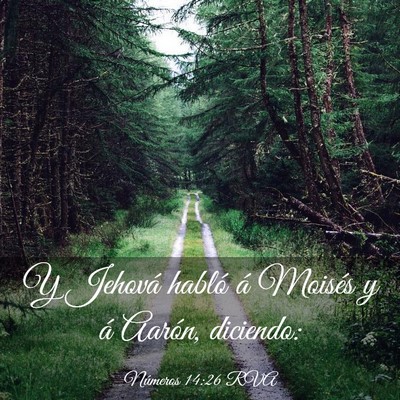 Picture 03 - Números 14:26 RVA - Y Jehová habló á Moisés y á Aarón, - Bible Verse Picture