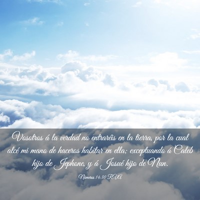 Picture 03 - Números 14:30 RVA - Vosotros á la verdad no entraréis en la tierra, - Bible Verse Picture
