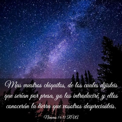 Picture 03 - Números 14:31 RVA - Mas vuestros chiquitos, de los cuales dijisteis - Bible Verse Picture