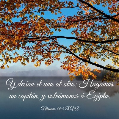 Picture 03 - Números 14:4 RVA - Y decían el uno al otro: Hagamos un capitán, y - Bible Verse Picture