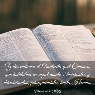 Picture 03 - Números 14:45 RVA - Y descendieron el Amalecita y el Cananeo, que - Bible Verse Picture