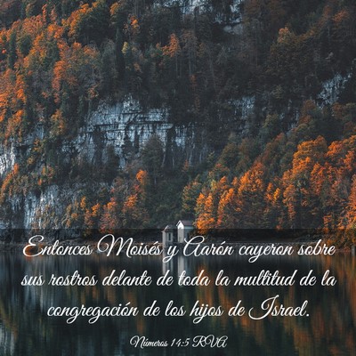 Picture 03 - Números 14:5 RVA - Entonces Moisés y Aarón cayeron sobre sus - Bible Verse Picture