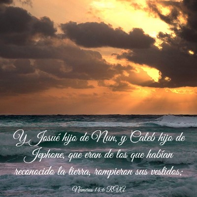 Picture 03 - Números 14:6 RVA - Y Josué hijo de Nun, y Caleb hijo de Jephone, - Bible Verse Picture