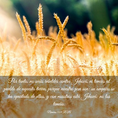 Picture 03 - Números 14:9 RVA - Por tanto, no seáis rebeldes contra Jehová, ni - Bible Verse Picture