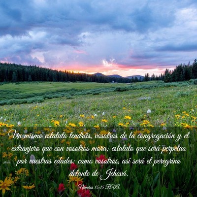 Picture 03 - Números 15:15 RVA - Un mismo estatuto tendréis, vosotros de la - Bible Verse Picture