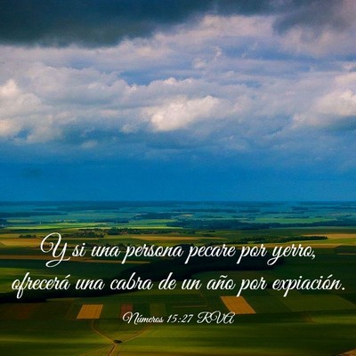 Picture 03 - Números 15:27 RVA - Y si una persona pecare por yerro, ofrecerá una - Bible Verse Picture