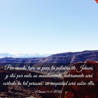 Picture 03 - Números 15:31 RVA - Por cuanto tuvo en poco la palabra de Jehová, y - Bible Verse Picture