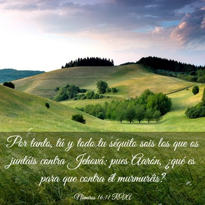 Picture 03 - Números 16:11 RVA - Por tanto, tú y todo tu séquito sois los que os - Bible Verse Picture