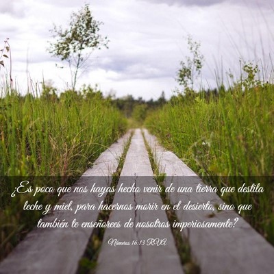 Picture 03 - Números 16:13 RVA - ¿Es poco que nos hayas hecho venir de una tierra - Bible Verse Picture