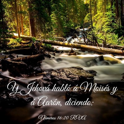 Picture 03 - Números 16:20 RVA - Y Jehová habló á Moisés y á Aarón, - Bible Verse Picture