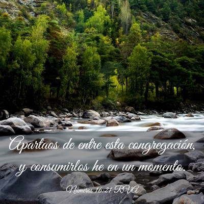 Picture 03 - Números 16:21 RVA - Apartaos de entre esta congregación, y - Bible Verse Picture