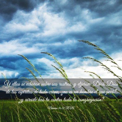 Picture 03 - Números 16:22 RVA - Y ellos se echaron sobre sus rostros, y dijeron: - Bible Verse Picture