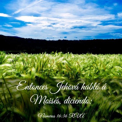 Picture 03 - Números 16:36 RVA - Entonces Jehová habló á Moisés, - Bible Verse Picture
