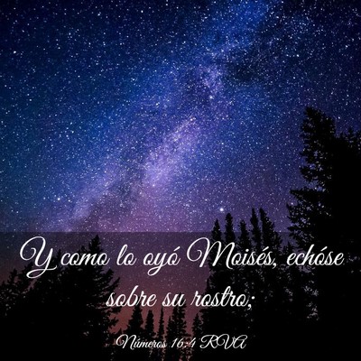 Picture 03 - Números 16:4 RVA - Y como lo oyó Moisés, echóse sobre su - Bible Verse Picture