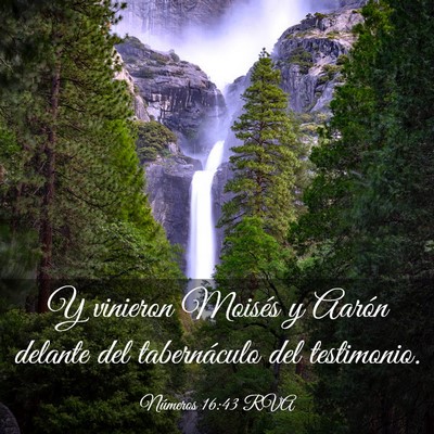 Picture 03 - Números 16:43 RVA - Y vinieron Moisés y Aarón delante del - Bible Verse Picture