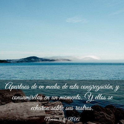 Picture 03 - Números 16:45 RVA - Apartaos de en medio de esta congregación, y - Bible Verse Picture