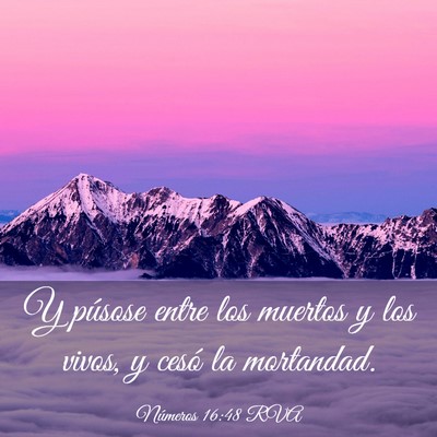 Picture 03 - Números 16:48 RVA - Y púsose entre los muertos y los vivos, y cesó - Bible Verse Picture