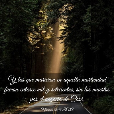 Picture 03 - Números 16:49 RVA - Y los que murieron en aquella mortandad fueron - Bible Verse Picture