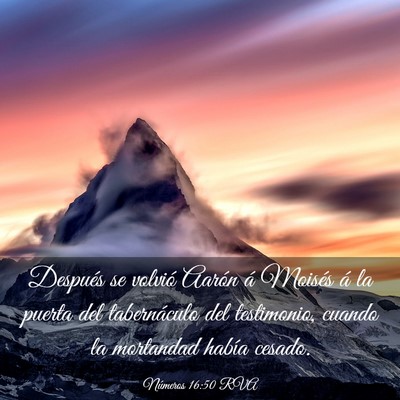 Picture 03 - Números 16:50 RVA - Después se volvió Aarón á Moisés á la - Bible Verse Picture