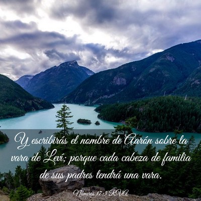 Picture 03 - Números 17:3 RVA - Y escribirás el nombre de Aarón sobre la vara - Bible Verse Picture