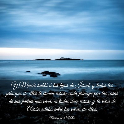 Picture 03 - Números 17:6 RVA - Y Moisés habló á los hijos de Israel, y todos - Bible Verse Picture