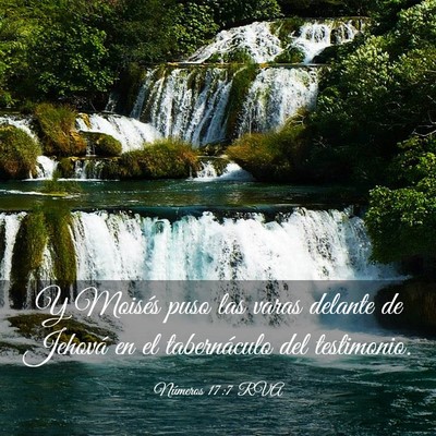 Picture 03 - Números 17:7 RVA - Y Moisés puso las varas delante de Jehová en el - Bible Verse Picture