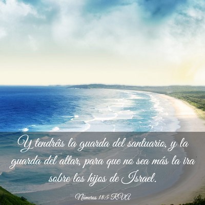 Picture 03 - Números 18:5 RVA - Y tendréis la guarda del santuario, y la guarda - Bible Verse Picture