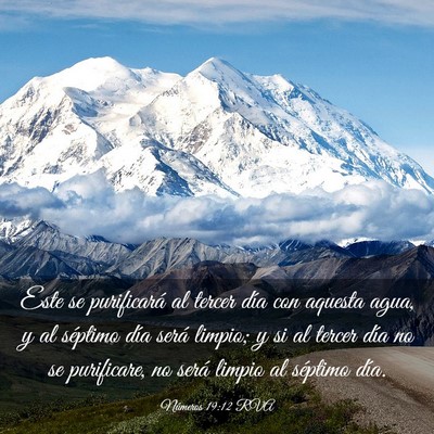 Picture 03 - Números 19:12 RVA - Este se purificará al tercer día con aquesta - Bible Verse Picture